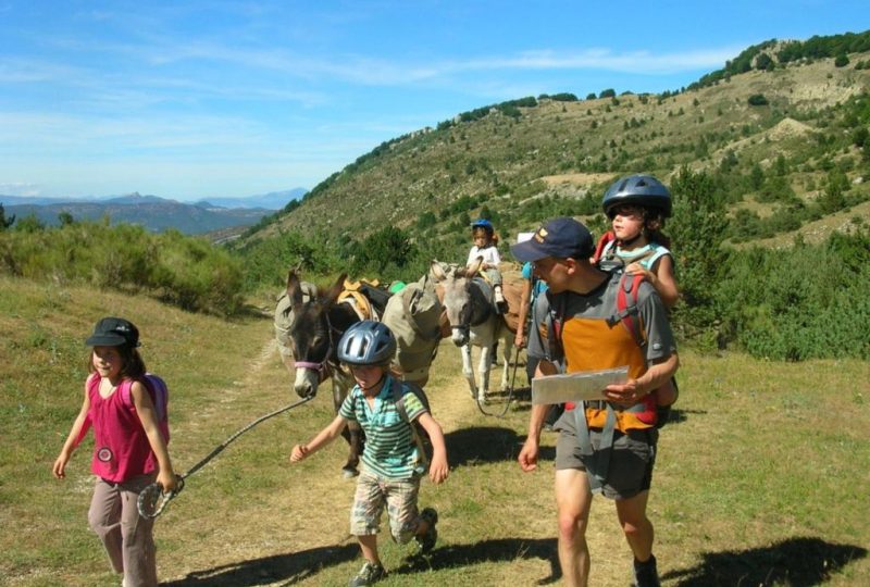 Hiking with donkeys à Éourres - 0