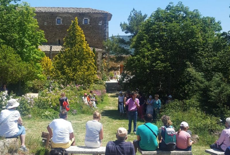 Visite guidée du Jardin de l’abbaye de Valsaintes à Simiane-la-Rotonde - 9