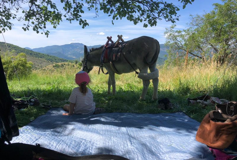 Boerderijcamping  Bamboul’âne à Éourres - 0