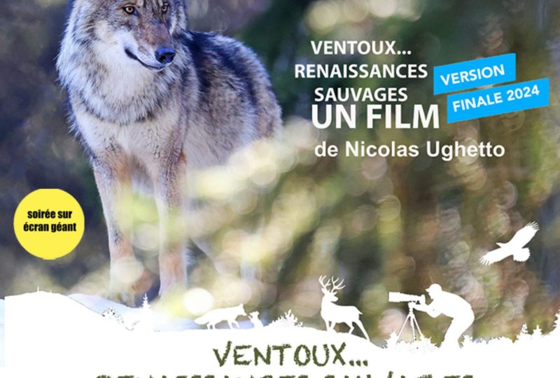 Cinéma “Sursaut Nature” de Nicolas Ughetto : “Ventoux…Renaissances Sauvages” à Sault - 0