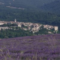 Le plateau de Sault et la Haute Provence