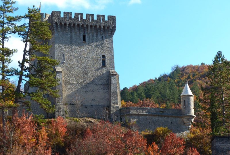 Château d’Aulan à Aulan - 2