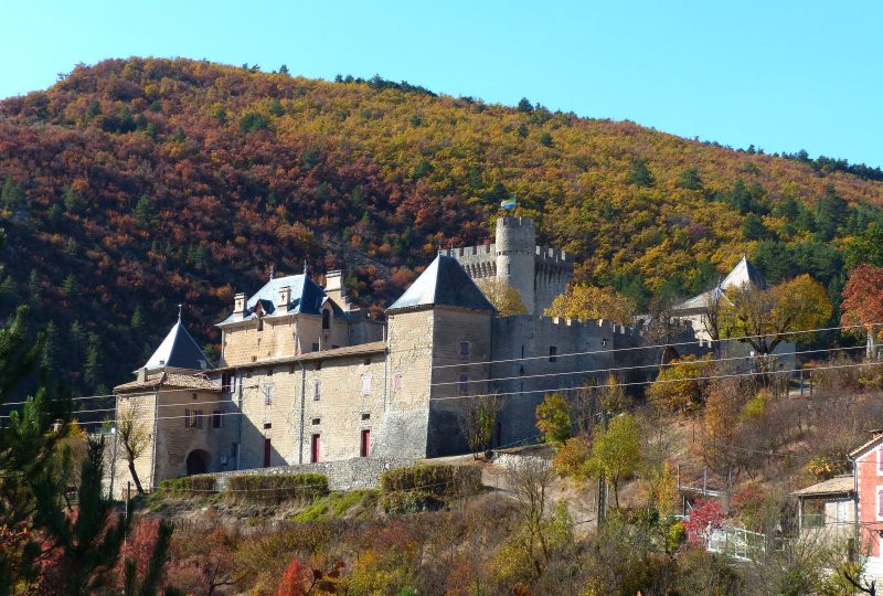 Château d’Aulan à Aulan - 4