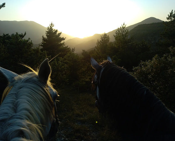 Balade à cheval, poney ou calèche (Baladez Curieux) à Montbrun-les-Bains - 0