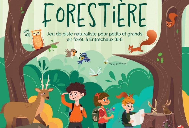 Zizanie forestière à Saint-Léger-du-Ventoux - 0