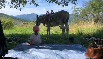 Bamboul’âne Camping à la ferme proche de la Méouge