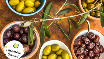 Atelier dégustation : olives de France